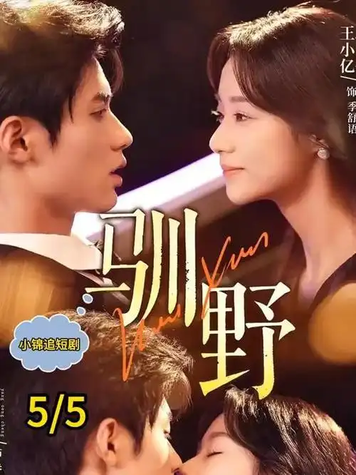 潮汐之城都市电视剧全集免费观看
